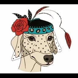 Turquoise Pooch Paw Spa