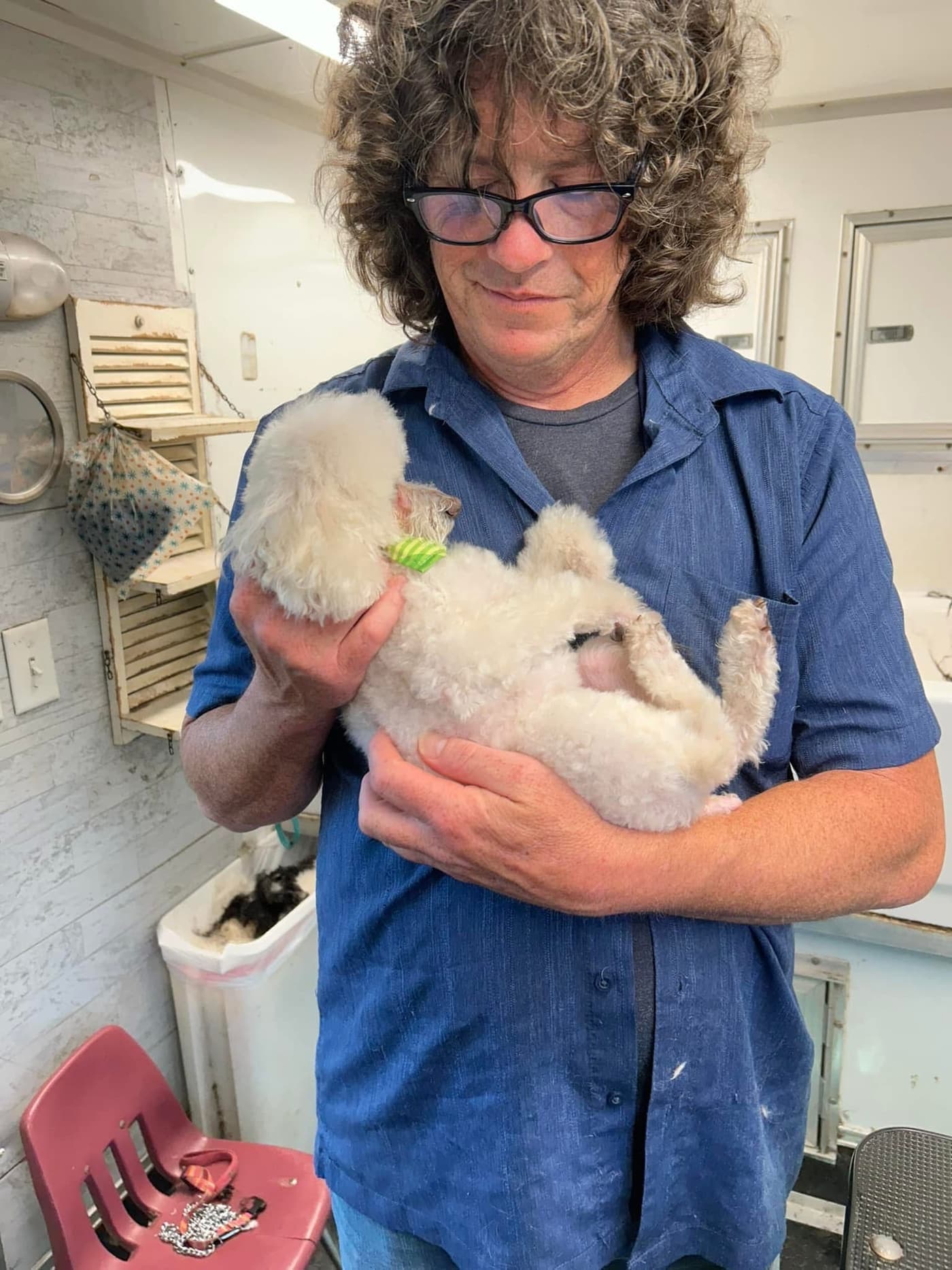Gentle comfort care handling during a grooming session