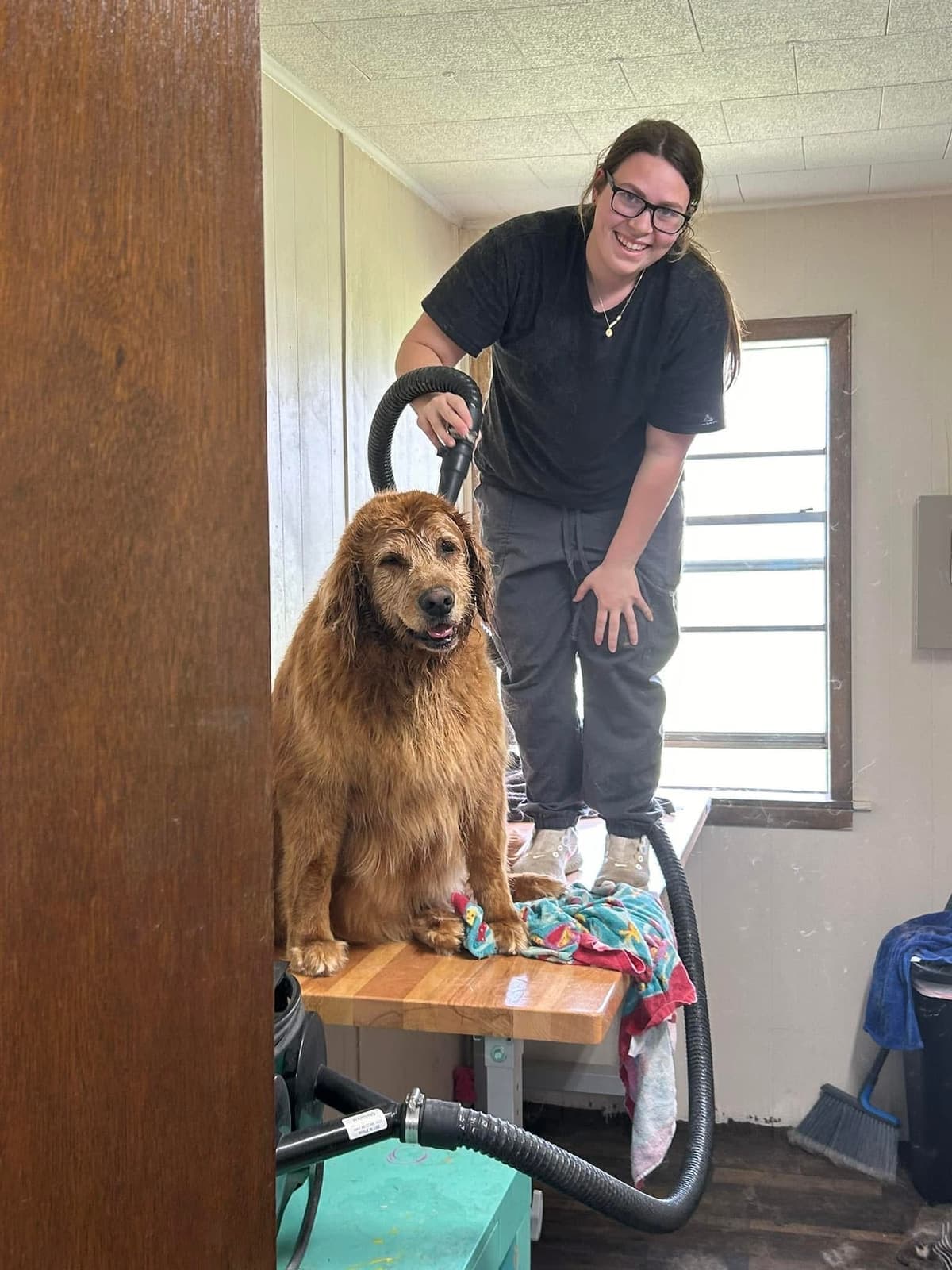 Spa groom result at Turquoise Pooch Paw Spa