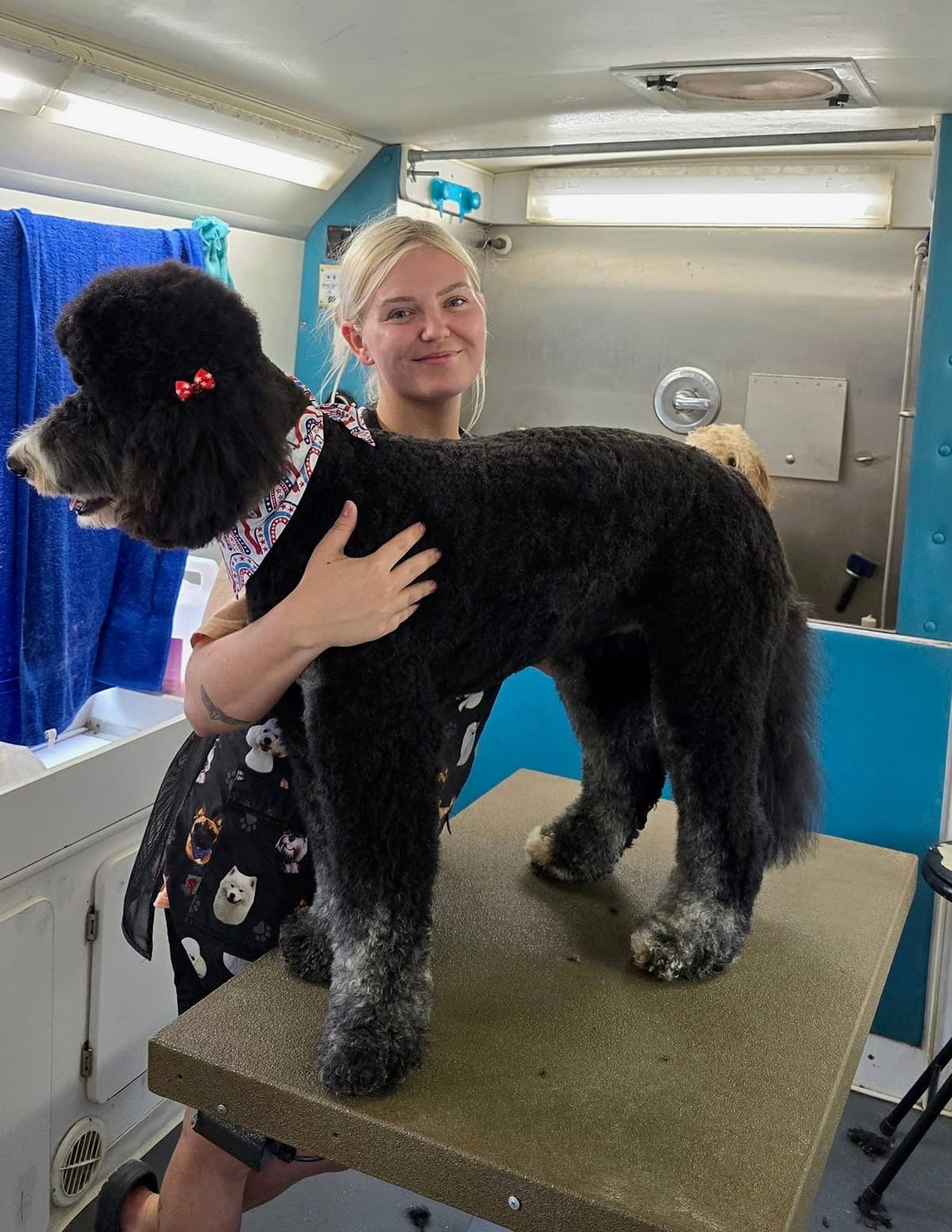 Groomer with a happy dog inside the Turquoise Pooch mobile Paw Spa